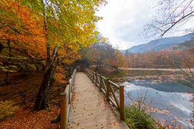 Yedigoller or Seven Lakes National Park in Turkey
