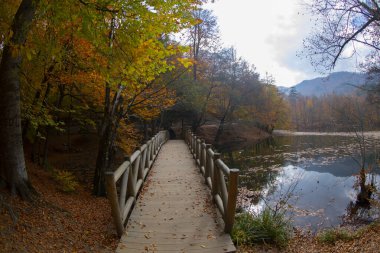 Yedigoller or Seven Lakes National Park in Turkey