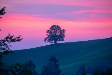 The beautiful village of Hirzel with green meadows and farmlands on the slopes, Canton of Zug, Switzerland, Europe.