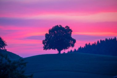 The beautiful village of Hirzel with green meadows and farmlands on the slopes, Canton of Zug, Switzerland, Europe.