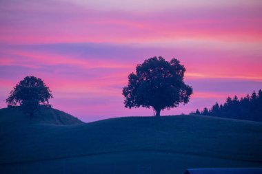 The beautiful village of Hirzel with green meadows and farmlands on the slopes, Canton of Zug, Switzerland, Europe.
