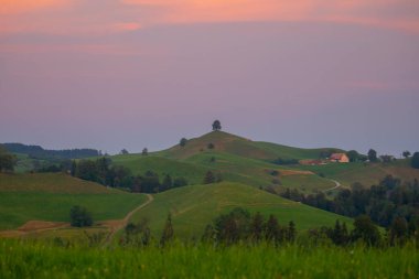 The beautiful village of Hirzel with green meadows and farmlands on the slopes, Canton of Zug, Switzerland, Europe.