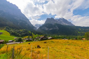 Eiger, Monch and Jungfrau from Grindelwald, Canton Bern, Switzerland