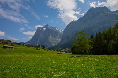 Eiger, Monch and Jungfrau from Grindelwald, Canton Bern, Switzerland