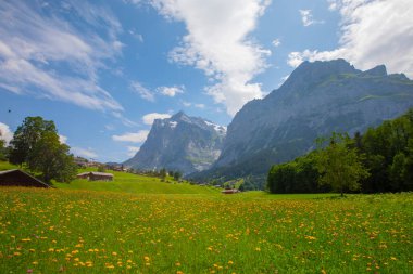Eiger, Monch and Jungfrau from Grindelwald, Canton Bern, Switzerland