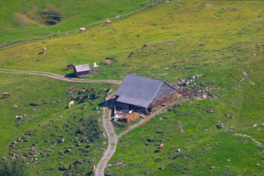 Wengen köyünün renkli yaz manzarası. İsviçre Alpleri 'nde güzel bir açık hava sahnesi, Bern, İsviçre, Avrupa kantonunda Bernese Oberland. İşlenmiş fotoğraf sonrası sanatsal stil.
