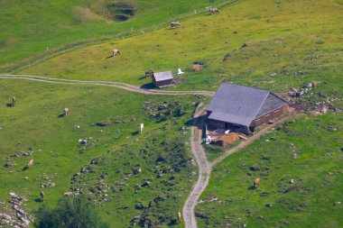 Wengen köyünün renkli yaz manzarası. İsviçre Alpleri 'nde güzel bir açık hava sahnesi, Bern, İsviçre, Avrupa kantonunda Bernese Oberland. İşlenmiş fotoğraf sonrası sanatsal stil.