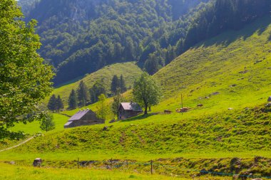 Wengen köyünün renkli yaz manzarası. İsviçre Alpleri 'nde güzel bir açık hava sahnesi, Bern, İsviçre, Avrupa kantonunda Bernese Oberland. İşlenmiş fotoğraf sonrası sanatsal stil.
