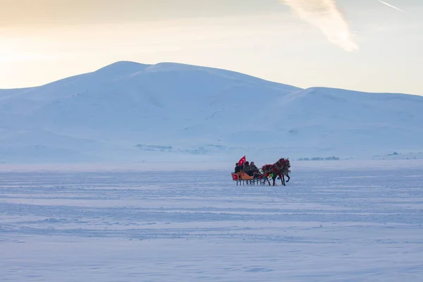 Kuda Menarik Kereta Luncur Musim Dingin Danau Cildir Kars — Stok Foto