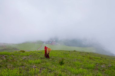 Women with baskets carrying tea in the Kackar mountains