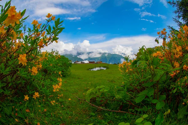 BADARA PLATEAU in Rize, Turkey. This plateau located in Camlihemsin district of Rize province. Kackar Mountains region.