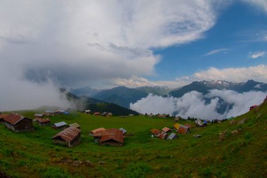 SAL PLATEAU, Rize 'nin Camlihemsin ilçesinde. Kackar Dağları bölgesi. Rize, Türkiye.