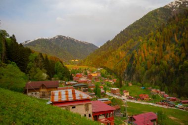 Camlihemsin 'deki Ayder Platosu. Güneş doğarken panoramik tahta kiraz manzarası. Hindi yolculuğu. Ayder Platosu 'nun 1350 metre yüksekliğindeki ahşap dağ evleri ile geniş bir çayır alanı vardır. Rize, Türkiye