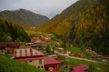 Camlihemsin 'deki Ayder Platosu. Güneş doğarken panoramik tahta kiraz manzarası. Hindi yolculuğu. Ayder Platosu 'nun 1350 metre yüksekliğindeki ahşap dağ evleri ile geniş bir çayır alanı vardır. Rize, Türkiye