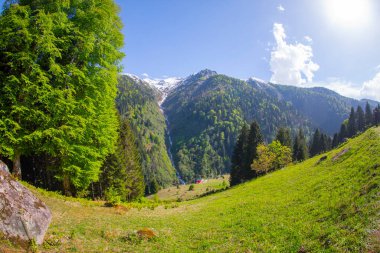 Camlihemsin 'deki Ayder Platosu. Güneş doğarken panoramik tahta kiraz manzarası. Hindi yolculuğu. Ayder Platosu 'nun 1350 metre yüksekliğindeki ahşap dağ evleri ile geniş bir çayır alanı vardır. Rize, Türkiye
