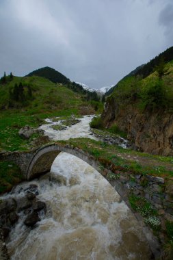 Rize 'nin Camlihemsin ilçesine bağlı Cicekli Platosu. Kackar Dağları bölgesi. Rize, Hindi. (Türkçe: Cicekli Yaylasi)