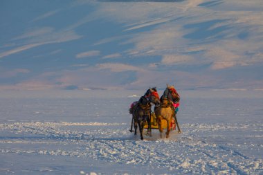 Atlar kışın kızak çekiyor, Cildir Gölü, Kars