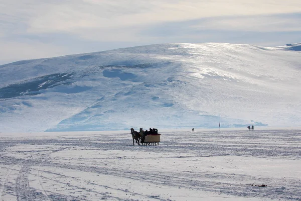 冬にはそりを引く馬 Cildir Lake Kars — ストック写真