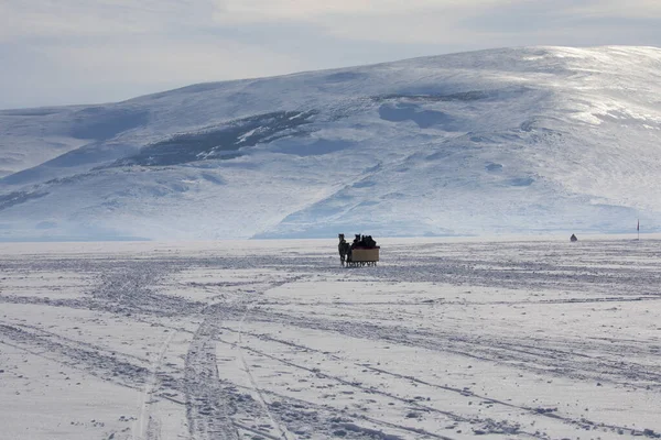 Kuda Menarik Giring Musim Dingin Danau Cildir Kars — Stok Foto