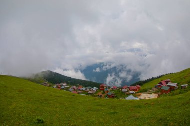 Türkiye 'nin Rize kentinde yer alan Gito Platosu, bölgenin en önemli yaylalarından biri..
