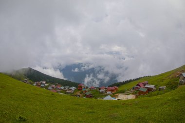 Türkiye 'nin Rize kentinde yer alan Gito Platosu, bölgenin en önemli yaylalarından biri..