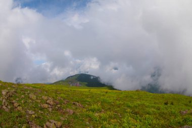 Türkiye 'nin Rize kentinde yer alan Gito Platosu, bölgenin en önemli yaylalarından biri..