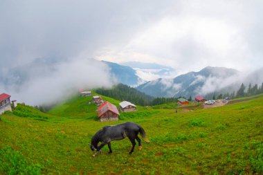 Pokut Platosu Rize Camlihemsin, Pokut Platosu Karadeniz ve Türkiye. Rize, Türkiye.