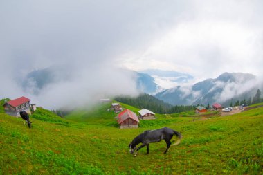 Pokut Platosu Rize Camlihemsin, Pokut Platosu Karadeniz ve Türkiye. Rize, Türkiye.