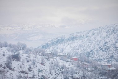 Tunceli city with munzur river