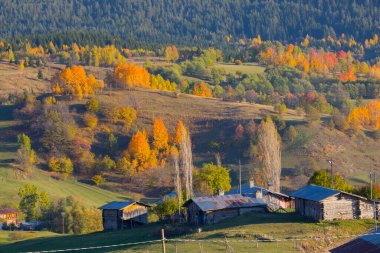 Karadeniz 'deki Karadeniz' de sonbahar renkli manzaralar Maden köyü Savsat, Artvin 'de güzel bir sonbahar günbatımında