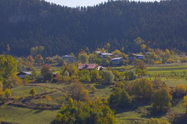 Karadeniz 'deki Karadeniz' de sonbahar renkli manzaralar Maden köyü Savsat, Artvin 'de güzel bir sonbahar günbatımında