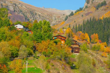 Savsat 'ta sonbahar manzarası. Artvin, Türkiye. Bazgiret Maden Köyü 'nde güzel bir sonbahar manzarası. Renkli sonbahar doğa manzarası, karlı dağlar arka planda.