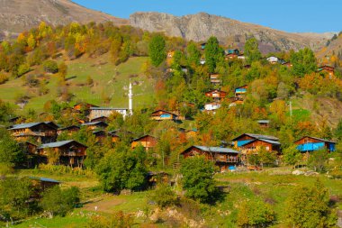 Savsat 'ta sonbahar manzarası. Artvin, Türkiye. Bazgiret Maden Köyü 'nde güzel bir sonbahar manzarası. Renkli sonbahar doğa manzarası, karlı dağlar arka planda.