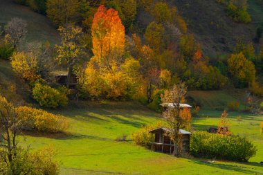 Papat Valley Artvin. Papart Stream (Gknar Stream) Valley Karal Mountains; It is the natural area within the boundaries of the Important Natural Area.