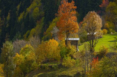 Papat Valley Artvin. Papart Stream (Gknar Stream) Valley Karal Mountains; It is the natural area within the boundaries of the Important Natural Area.