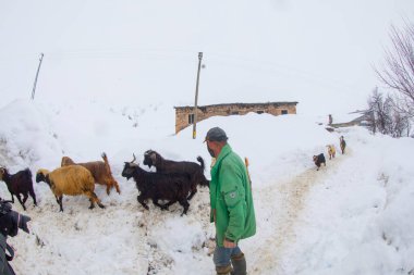 Panoramic city view of Yuksekova district. Hakkari - Turkey