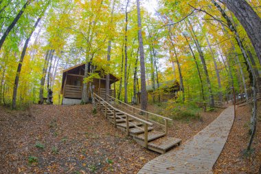Sonbahar orman manzarası ahşap iskeleli suya yansıyor - Yedigoller Park Bolu, Türkiye 'de sonbahar manzarası (yedi göl)