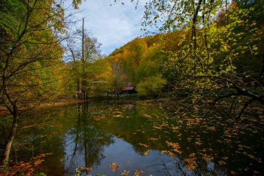 Sonbahar orman manzarası ahşap iskeleli suya yansıyor - Yedigoller Park Bolu, Türkiye 'de sonbahar manzarası (yedi göl)