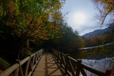 Sonbahar orman manzarası ahşap iskeleli suya yansıyor - Yedigoller Park Bolu, Türkiye 'de sonbahar manzarası (yedi göl)