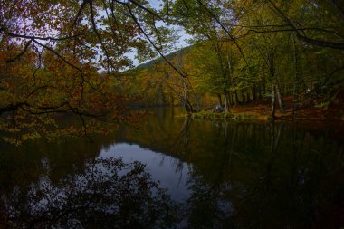 Sonbahar orman manzarası ahşap iskeleli suya yansıyor - Yedigoller Park Bolu, Türkiye 'de sonbahar manzarası (yedi göl)