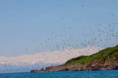 Carpanak Island is an island located in the northeastern part of Lake Van, in the Citren Village of the city of Van.