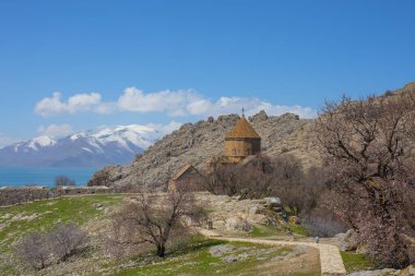 Panoramic view of Armenian Holy Cross Cathedral surrounded by tree in blossom in a middle of Akdamar Island (Akdamr Adasi), Lake Van, Gevas, Eastern Turkey
