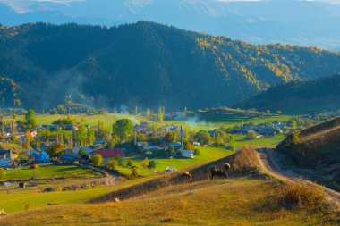 Pnarl is a village in the avat district of Artvin province.