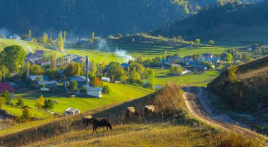 Pnarl is a village in the avat district of Artvin province.