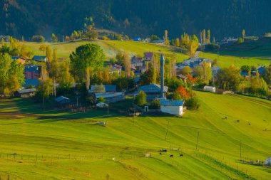 Pnarl is a village in the avat district of Artvin province.