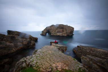 Interesting elephant-like rock in Sardala Bay. Long exposure shot in the morning. Kocaeli, Turkey.