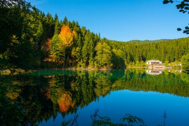 Savsat Karagol Gölü 'ndeki Sonbahar Yansımaları, Savsat Artvin, Türkiye