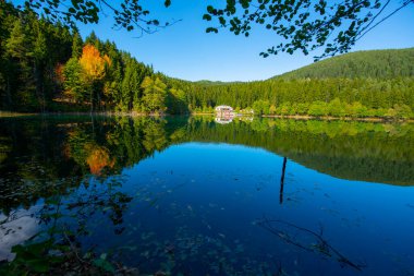 Savsat Karagol Gölü 'ndeki Sonbahar Yansımaları, Savsat Artvin, Türkiye