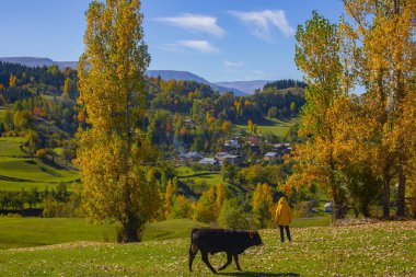 Artvin Dağları. Sahra platosunun sabah ışığı manzarası. Türkiye 'nin kuzeyinde seyahat yerleri. Savsat bölgesi yakınlarındaki geleneksel Karadeniz ahşap evleri.