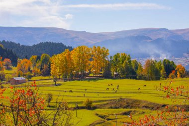 Artvin Dağları. Sahra platosunun sabah ışığı manzarası. Türkiye 'nin kuzeyinde seyahat yerleri. Savsat bölgesi yakınlarındaki geleneksel Karadeniz ahşap evleri.